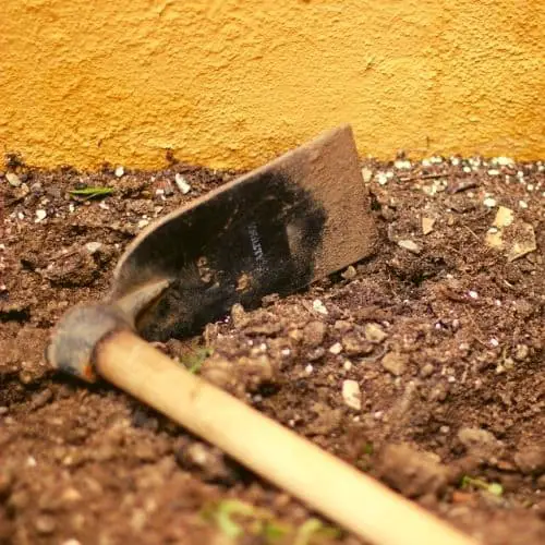 planting hoe shovel