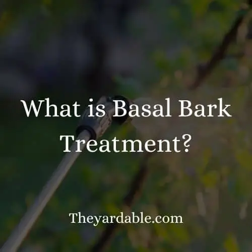 basal bark treatment spraying nozzle and thumbnail