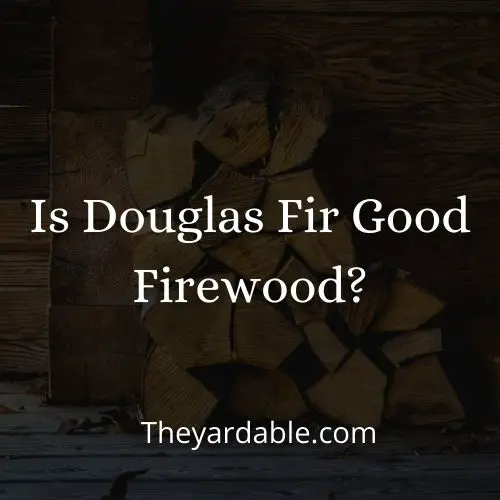 is douglas fir good firewood