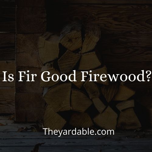 is fir good firewood thumbnail