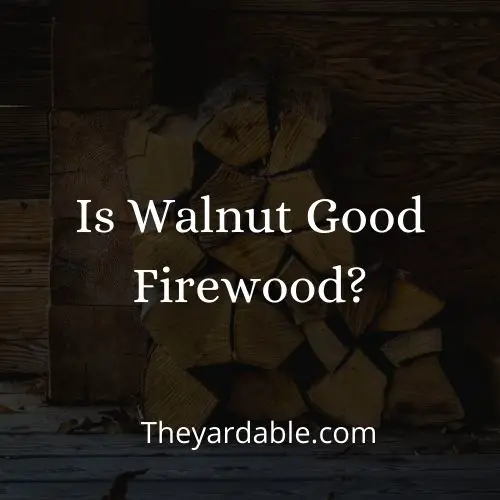 walnut firewood thumbnail