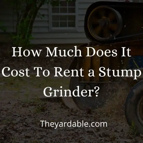 stump grinder rental cost