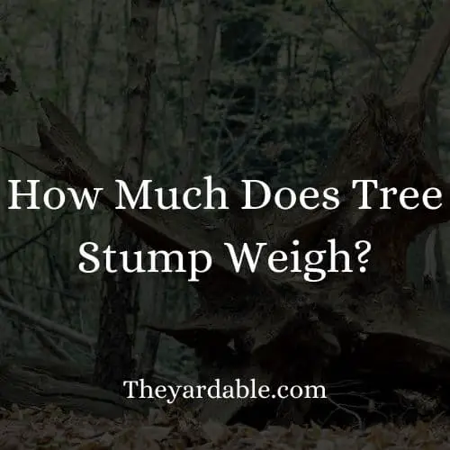tree stump weigh calculating