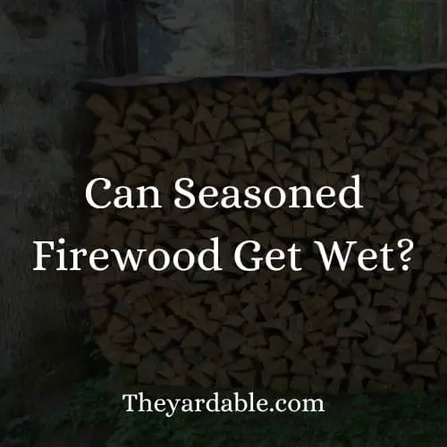 sesoned firewood in contact with water