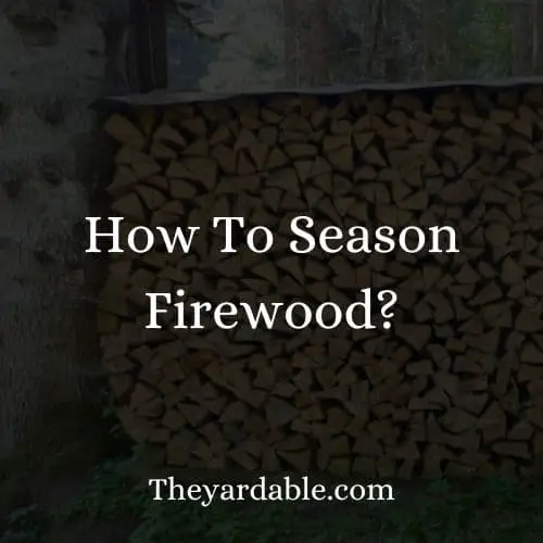 guide to seasoning firewood
