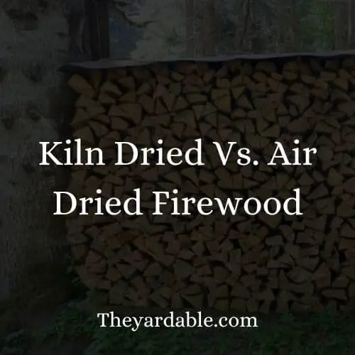 choose kiln dried or air dried firewood