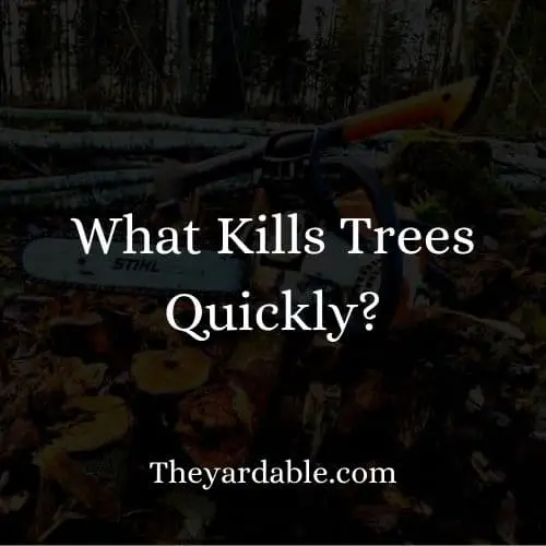 what kills trees quickly