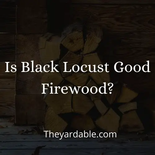 is black locust good firewood thumbnail