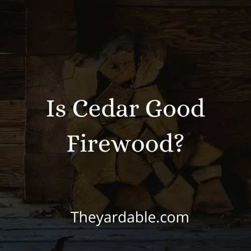 is cedar good firewood thumbnail