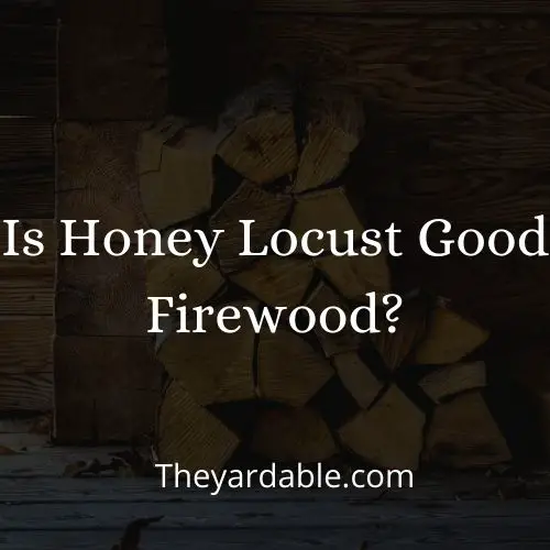 is honey locust good firewood thumbnail
