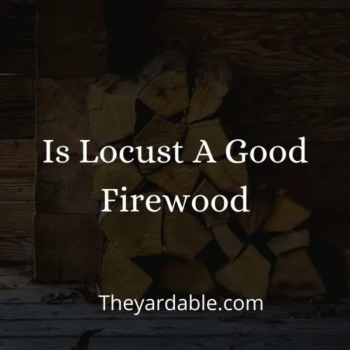 is locust good firewood thumbnail