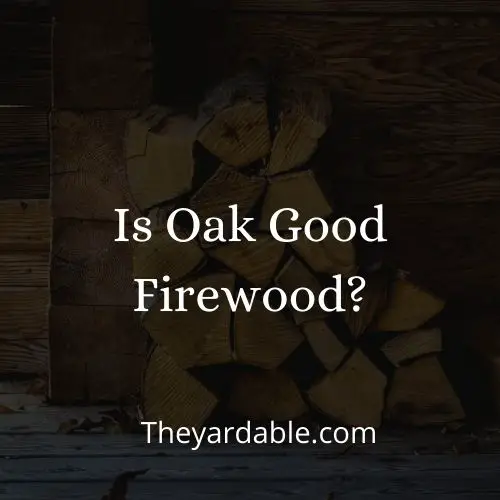 is oak good firewood thumbnail