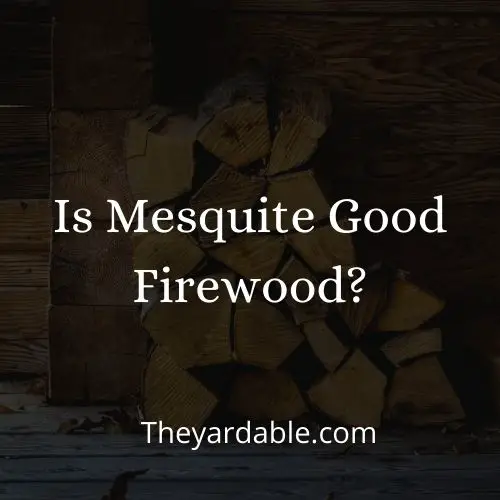 mesquite firewood thumbnail