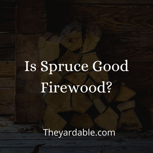 spruce firewood thumbnail