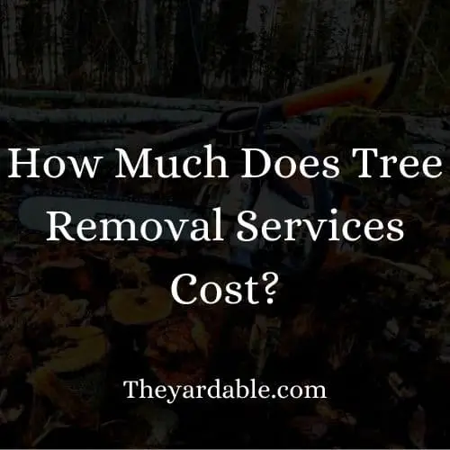 how much does it cost to get a tree removed