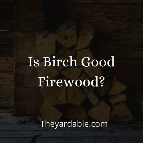 birch firewood thumbnail