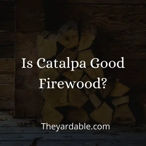 catalpa firewood thumbnail