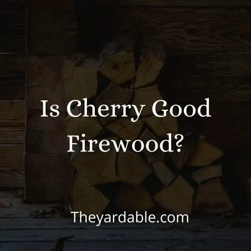 is cherry good as firewood