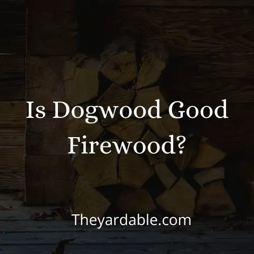 dogwood firewood thumbnail