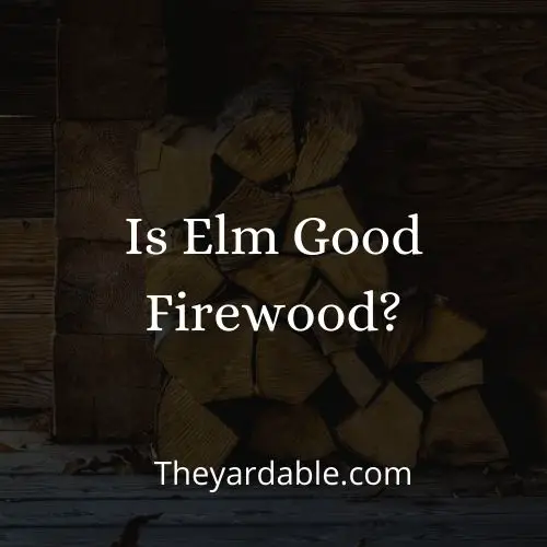 elm firewood thumbnail