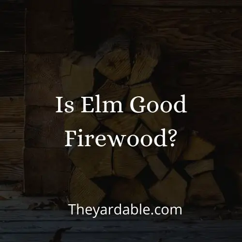 Is Elm Good Firewood? Theyardable