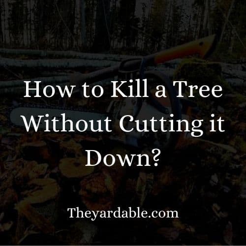 killing trees without cutting them down