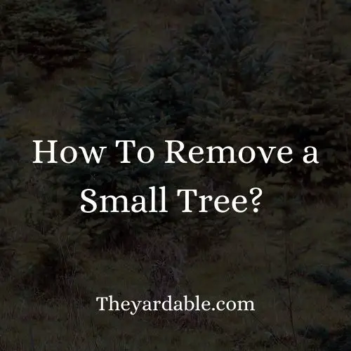 how to remove a small tree thumbail