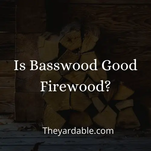 is basswood good as firewood