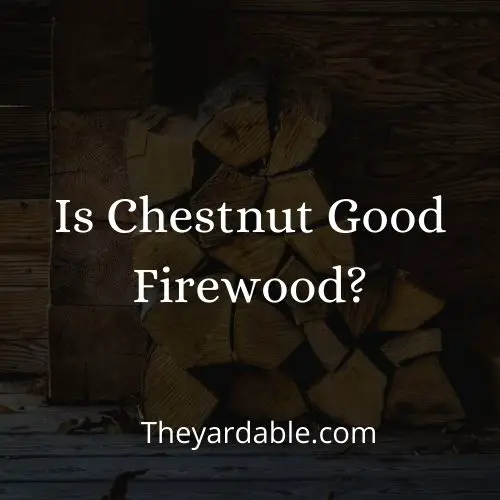 is chestnut good firewood