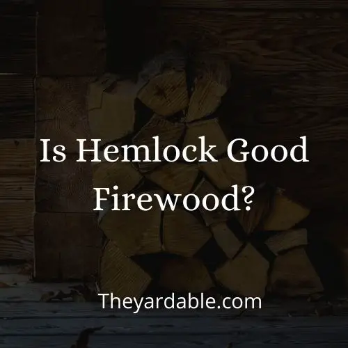 is hemlock good firewood