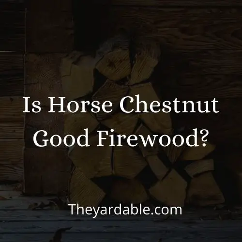 is horse chestnut good firewood