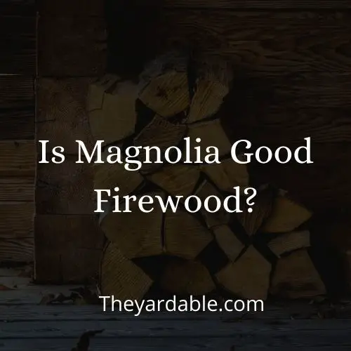 is magnolia good as firewood