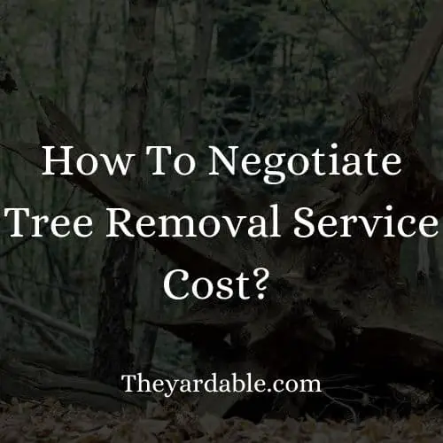 negotiate tree removal prices