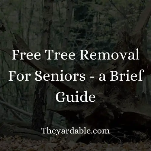 tree removal seniors free