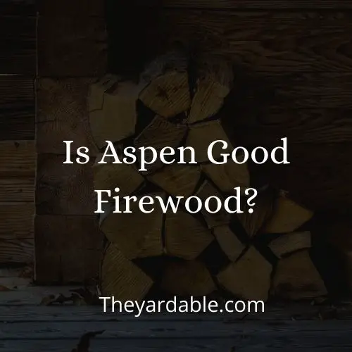 aspen firewood thumbnail