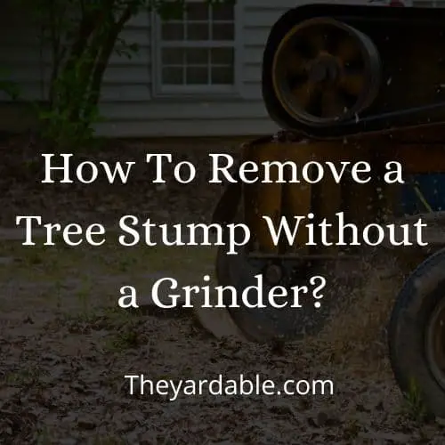 removing a leftover stump without grinder