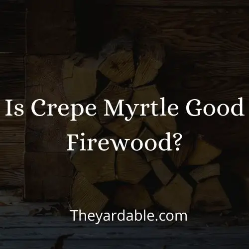 crepe myrtle firewood thumbnail