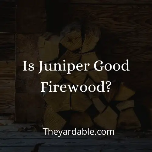 juniper firewood thumbnail