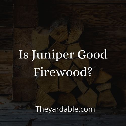 juniper firewood thumbnail