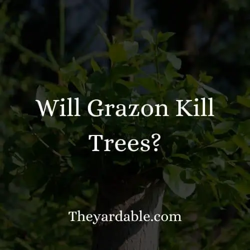 grazon can kill trees?