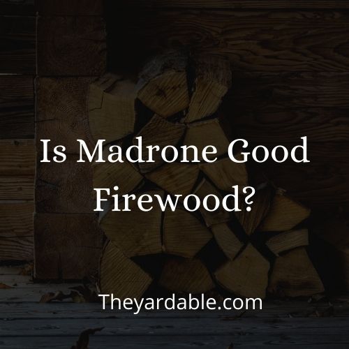 madrone firewood thumbnail