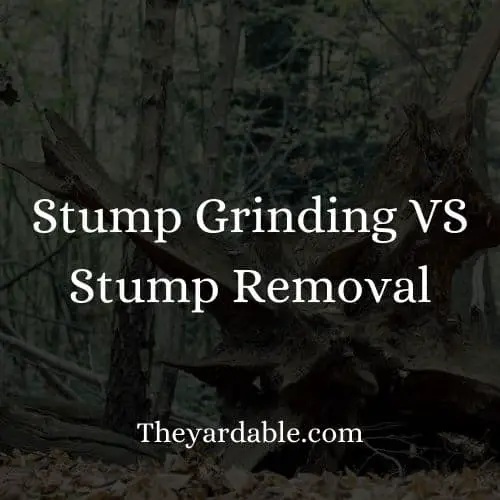 should you grind or uproot a stump?
