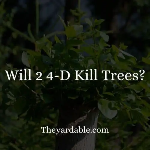 will 2-4d kill trees?