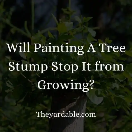 does painting help to avoid sprouting of stumps
