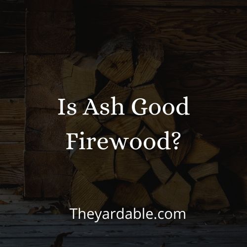 ash firewood thumbnail