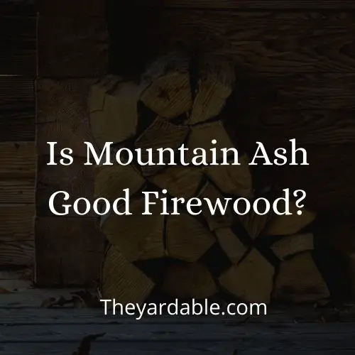 mountain ash firewood thumbnail