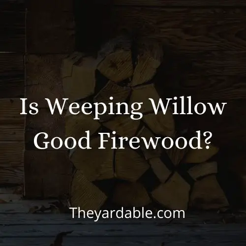 weeping willow firewood thumbnail