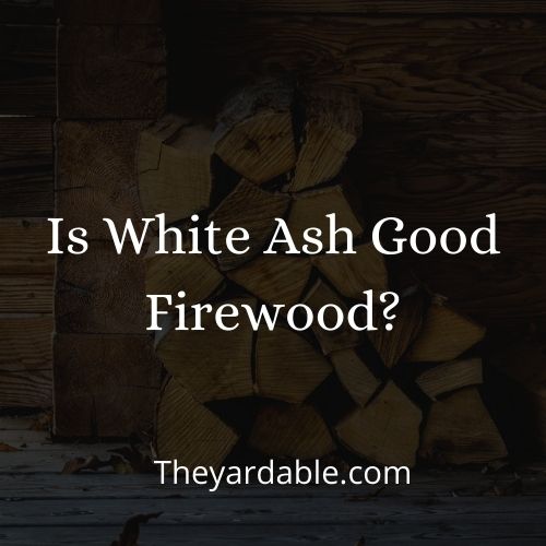white ash firewood thumbnail