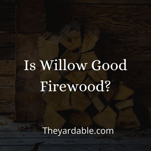 willow firewood thumbnail