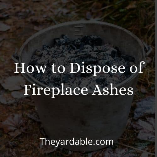 what to do with firewood ashes